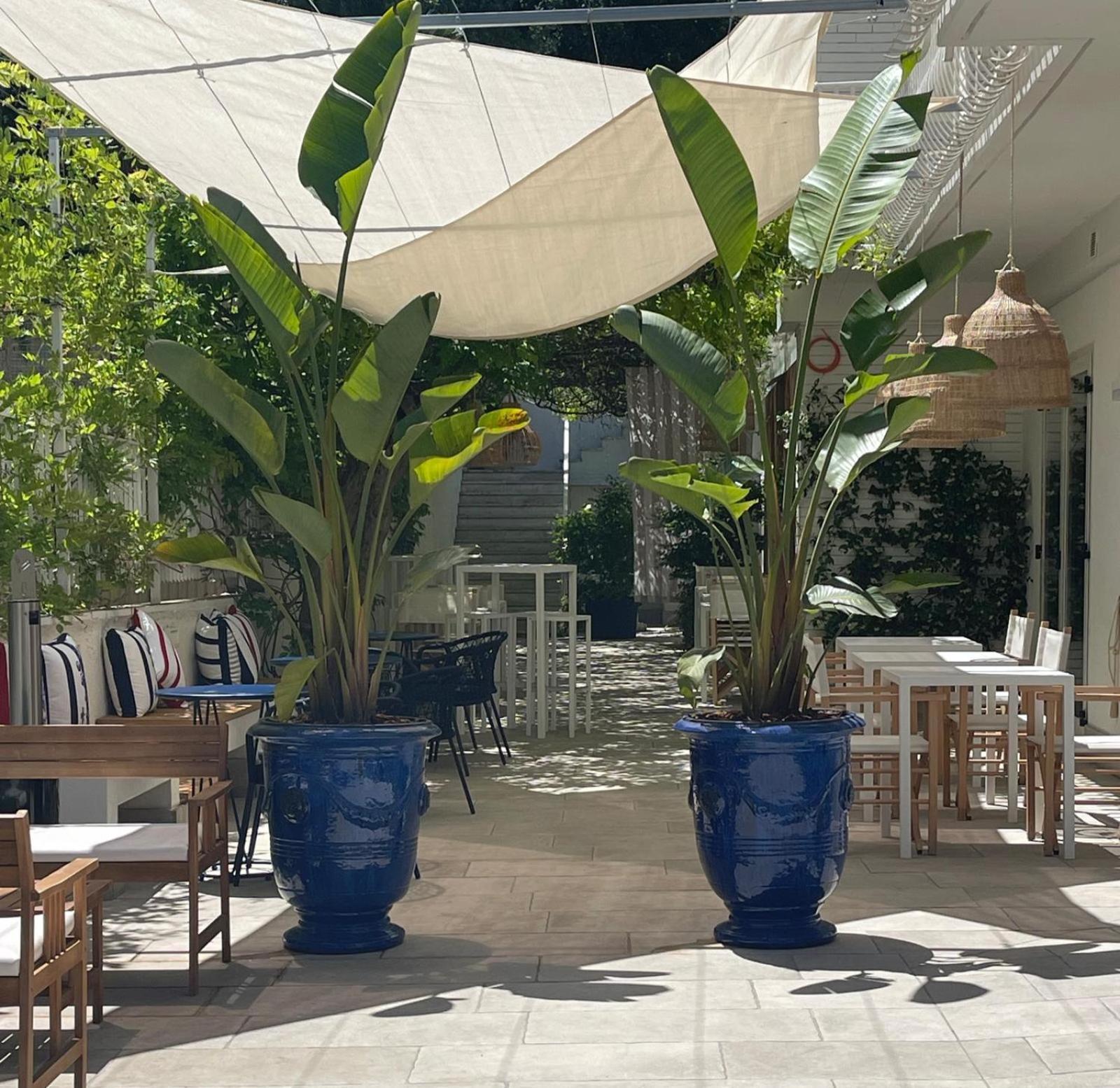 Murè Hotel Numana Extérieur photo